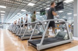 Cardio 2